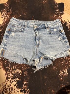 American Eagle Outfitters Light Wash Distressed Denim Cutoff Shorts